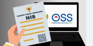 Cara Buat NIB Perorangan Mudah dan Cepat