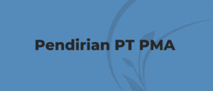 Panduan Lengkap Pendirian PT PMA di Indonesia